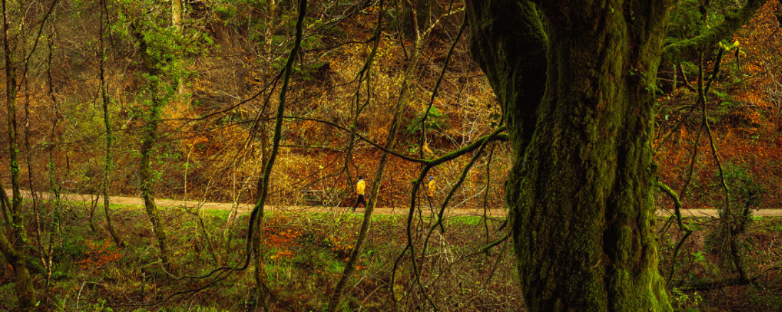 Private sector partner sought by Cornwall Council for delivery of residential units