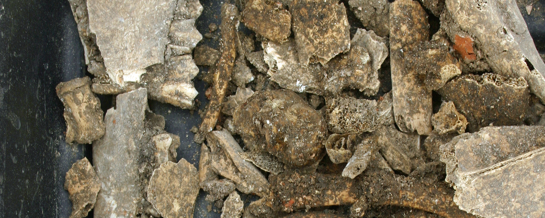 How archaeology and built heritage can unlock developments and strengthen place