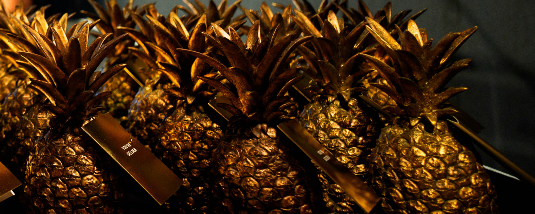 Entries open for The Pineapples awards for place 2027