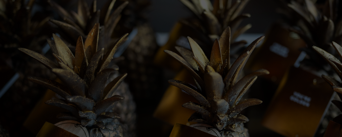 Website cover image (1) - pine 27 Website cover image (1) - pine 27