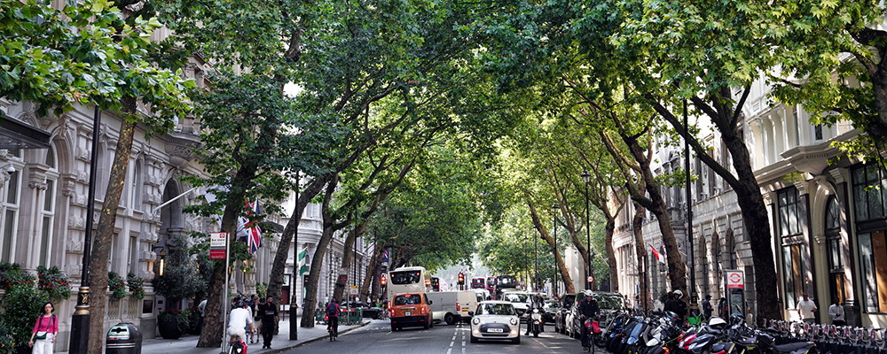 Throw shade: 96% of UK cities have less tree cover than average European city