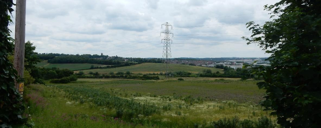 Rotherham seeks strategic development partner for 21st century garden community at Bassingthorpe Farm